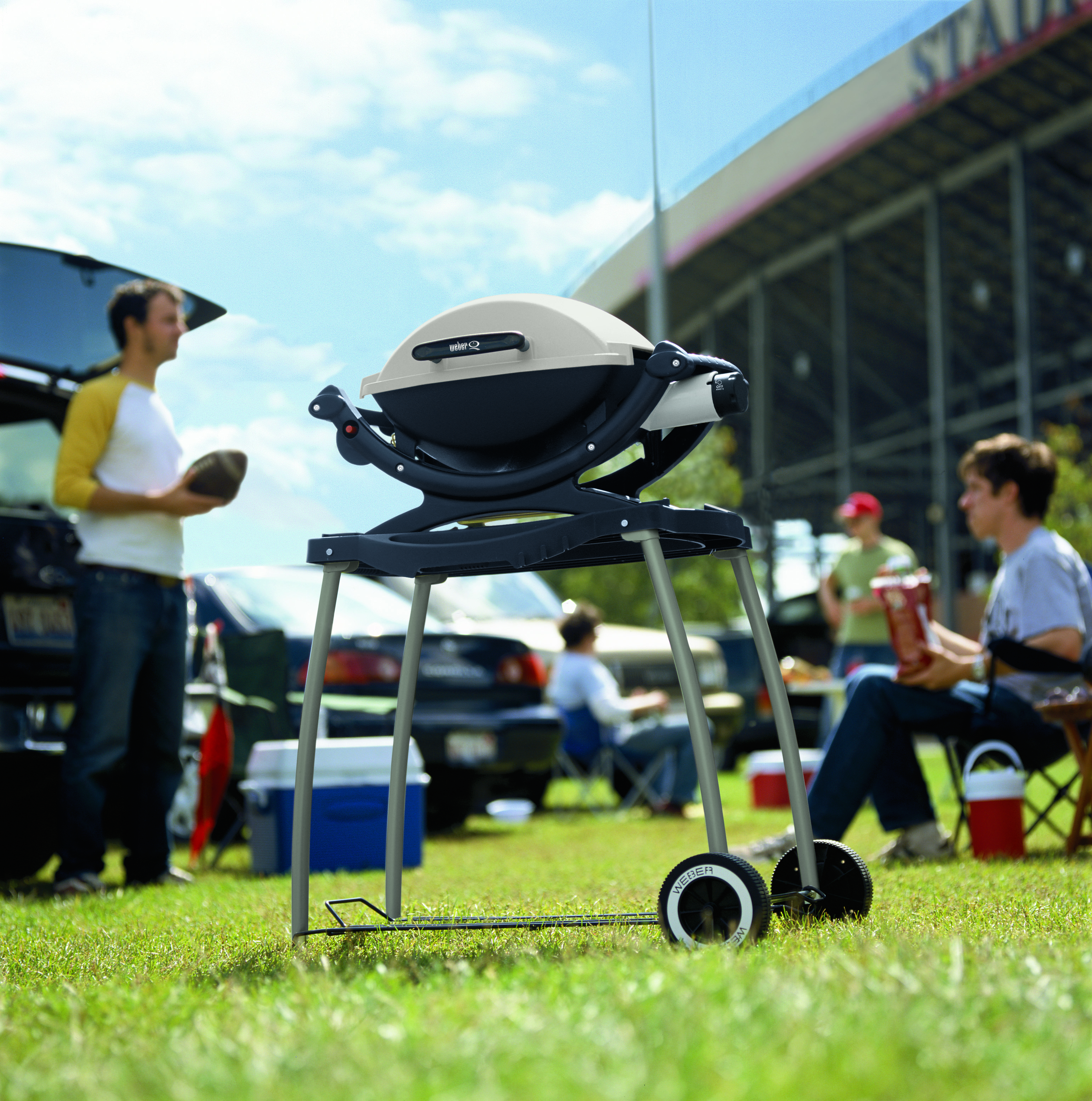 Weber Q 100 Gas Grill