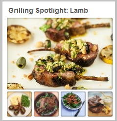 lamb
