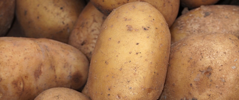 Potatoes