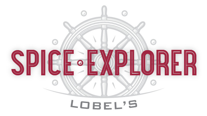 SpiceExplorerLogos-02